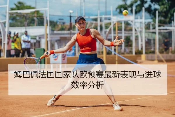 姆巴佩法国国家队欧预赛最新表现与进球效率分析 | loltouzhu